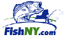 I Fish NY Graphic